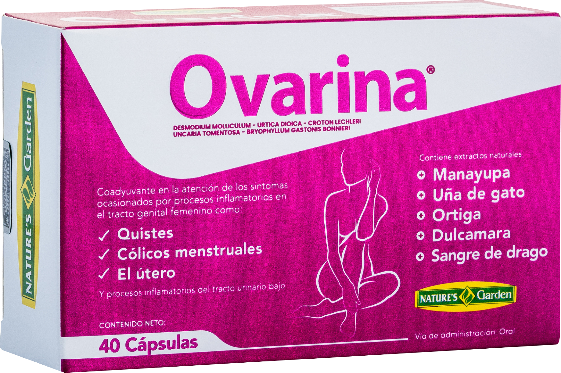 Ovarina